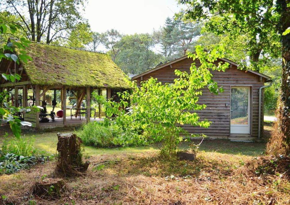 Chalet Cosy Au Coeur De La Foret De Broceliande Beignon Eksteriør billede
